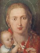 Albrecht Durer The Madonna with a Carna-tion oil